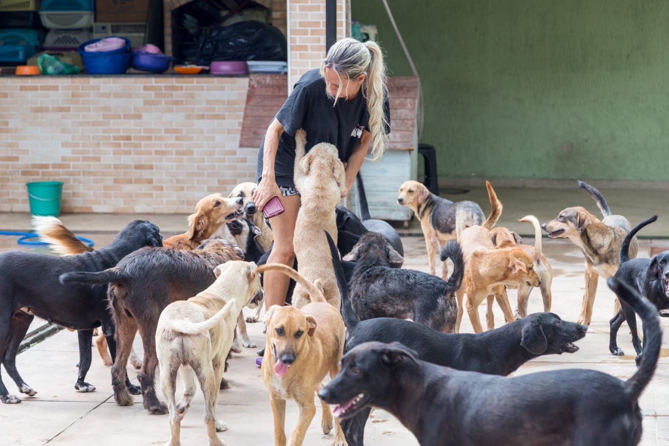 Voluntaria rodeada de perros rescatados pidiendo ayuda
